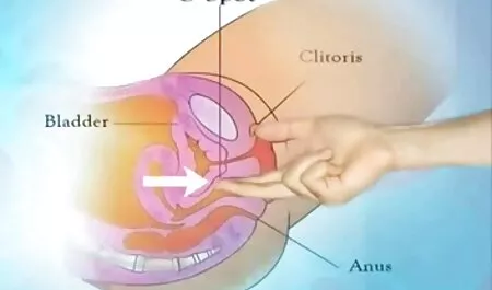 Chuyển giới tóc vàng, Juliana Mel là gái nhật vú to một đồ chơi súng cao su.