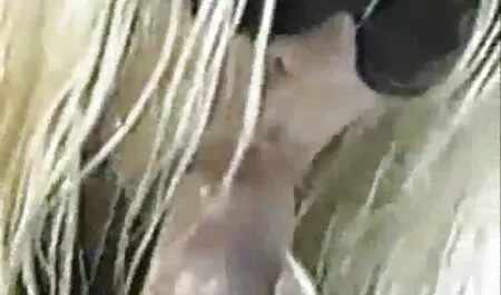 Một thực, da gai sex nhat ban Đen,