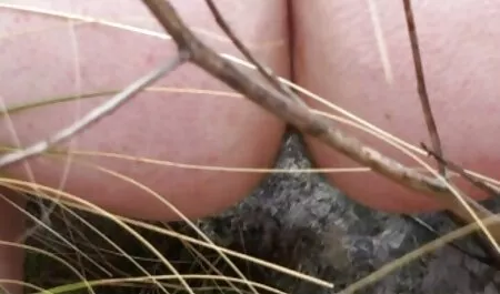 Mẹ phim sex gai xinh hay nhat thủ dâm dục.